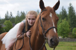 Terry - Quarter Horse (13 Jahre)